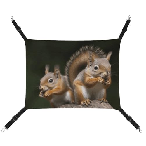 BVKWNTSA Geeignet für alle Jahreszeiten! Hängematte aus Segeltuch, Eichhörnchen, Tierdruck, hängendes Katzen- und Hundebett, atmungsaktiv und bequem, unverzichtbar BVKWNTSA Geeignet für alle Jahreszeiten! Hängematte aus Segeltuch, Eichhörnchen, Tierdruck, hängendes Katzen- und Hundebett, atmungsaktiv und bequem, unverzichtbar von BVKWNTSA