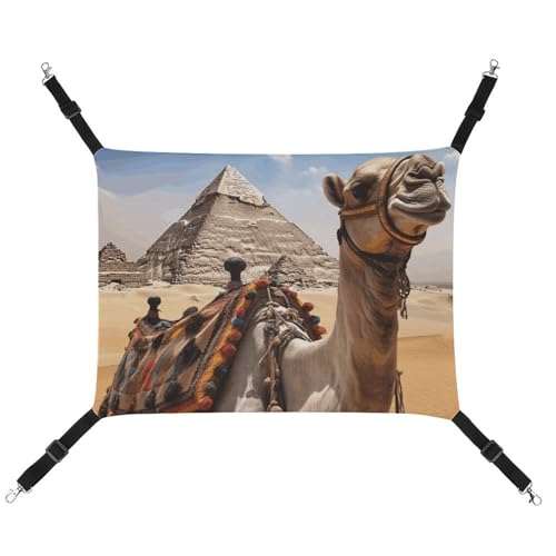 BVKWNTSA Geeignet für alle Jahreszeiten! Haustierhängematte aus Segeltuch, Pyramidenmuster, hängendes Katzen- und Hundebett, atmungsaktiv und bequem BVKWNTSA Geeignet für alle Jahreszeiten! Haustierhängematte aus Segeltuch, Pyramidenmuster, hängendes Katzen- und Hundebett, atmungsaktiv und bequem von BVKWNTSA