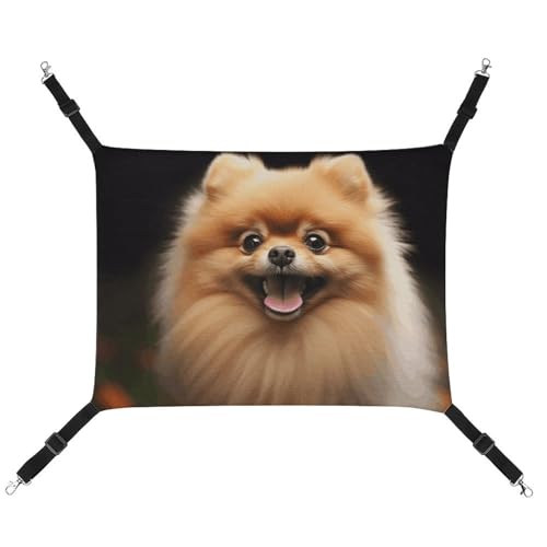BVKWNTSA Geeignet für alle Jahreszeiten! Haustierhängematte aus Segeltuch mit Pomeranian bedruckt, hängendes Katzen- und Hundebett, atmungsaktiv und bequem BVKWNTSA Geeignet für alle Jahreszeiten! Haustierhängematte aus Segeltuch mit Pomeranian bedruckt, hängendes Katzen- und Hundebett, atmungsaktiv und bequem von BVKWNTSA