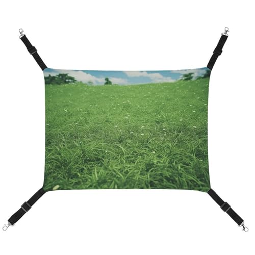 BVKWNTSA Geeignet für alle Jahreszeiten! Leinen-Hängematte mit grünem Rasen-Druck, hängendes Katzen- und Hundebett, atmungsaktiv und bequem, unverzichtbar BVKWNTSA Geeignet für alle Jahreszeiten! Leinen-Hängematte mit grünem Rasen-Druck, hängendes Katzen- und Hundebett, atmungsaktiv und bequem, unverzichtbar von BVKWNTSA