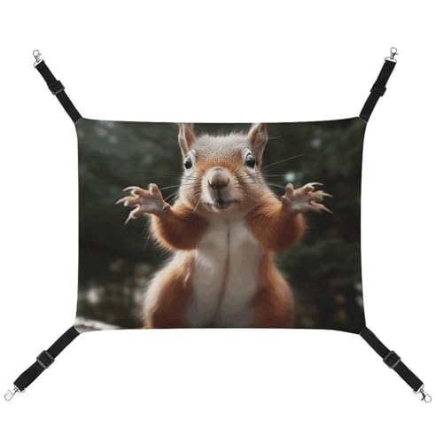 BVKWNTSA Geeignet für alle Jahreszeiten! Leinwand Eichhörnchen Lustiges Tier 1 bedruckte Haustierhängematte, hängendes Katzen- und Hundebett, atmungsaktiv und bequem unverzichtbar BVKWNTSA Geeignet für alle Jahreszeiten! Leinwand Eichhörnchen Lustiges Tier 1 bedruckte Haustierhängematte, hängendes Katzen- und Hundebett, atmungsaktiv und bequem unverzichtbar von BVKWNTSA