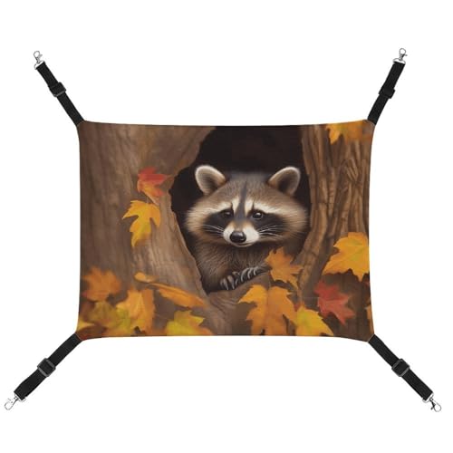 BVKWNTSA Geeignet für alle Jahreszeiten! Waschbär aus Segeltuch im Herbstbaumloch, bedruckte Haustierhängematte, hängendes Katzen- und Hundebett, atmungsaktiv und bequem BVKWNTSA Geeignet für alle Jahreszeiten! Waschbär aus Segeltuch im Herbstbaumloch, bedruckte Haustierhängematte, hängendes Katzen- und Hundebett, atmungsaktiv und bequem von BVKWNTSA