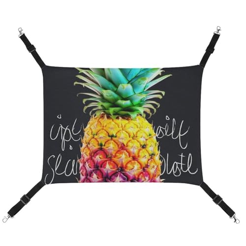 BVKWNTSA Geeignet für alle Jahreszeiten. Bedruckte Haustier-Hängematte aus Segeltuch, bunt, mit Früchten, Ananas, zum Aufhängen, atmungsaktiv und bequem BVKWNTSA Geeignet für alle Jahreszeiten. Bedruckte Haustier-Hängematte aus Segeltuch, bunt, mit Früchten, Ananas, zum Aufhängen, atmungsaktiv und bequem von BVKWNTSA