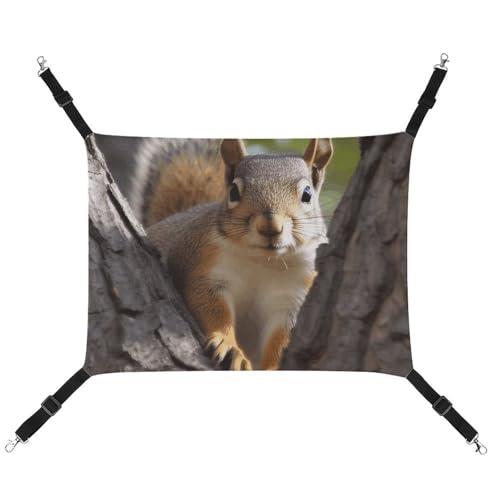 BVKWNTSA Geeignet für alle Jahreszeiten. Bedruckte Haustierhängematte aus Segeltuch, Eichhörnchen im Baum, hängendes Katzen- und Hundebett, atmungsaktiv und bequem BVKWNTSA Geeignet für alle Jahreszeiten. Bedruckte Haustierhängematte aus Segeltuch, Eichhörnchen im Baum, hängendes Katzen- und Hundebett, atmungsaktiv und bequem von BVKWNTSA