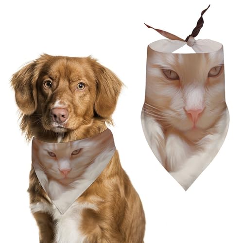 Hundehalstuch, Einheitsgröße, bedruckt, PPolyester, für Jungen und Mädchen, waschbar, geeignet für Jungen und Mädchen im Freien Hundehalstuch, Einheitsgröße, bedruckt, PPolyester, für Jungen und Mädchen, waschbar, geeignet für Jungen und Mädchen im Freien von BVKWNTSA