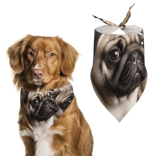 Hundehalstuch, Einheitsgröße, bedruckt, PPolyester, für Jungen und Mädchen, waschbar, geeignet für Jungen und Mädchen im Freien Hundehalstuch, Einheitsgröße, bedruckt, PPolyester, für Jungen und Mädchen, waschbar, geeignet für Jungen und Mädchen im Freien von BVKWNTSA