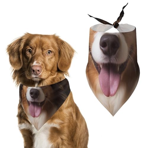 Hundehalstuch, Einheitsgröße, bedruckt, PPolyester, für Jungen und Mädchen, waschbar, geeignet für Jungen und Mädchen im Freien Hundehalstuch, Einheitsgröße, bedruckt, PPolyester, für Jungen und Mädchen, waschbar, geeignet für Jungen und Mädchen im Freien von BVKWNTSA