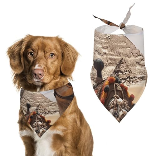 Hundehalstuch, Einheitsgröße, bedruckt, PPolyester, für Jungen und Mädchen, waschbar, geeignet für Jungen und Mädchen im Freien Hundehalstuch, Einheitsgröße, bedruckt, PPolyester, für Jungen und Mädchen, waschbar, geeignet für Jungen und Mädchen im Freien von BVKWNTSA