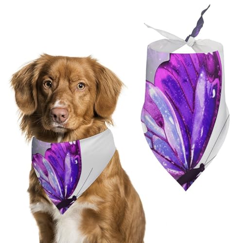 Hundehalstuch, Einheitsgröße, bedruckt, PPolyester, für Jungen und Mädchen, waschbar, geeignet für Jungen und Mädchen im Freien Hundehalstuch, Einheitsgröße, bedruckt, PPolyester, für Jungen und Mädchen, waschbar, geeignet für Jungen und Mädchen im Freien von BVKWNTSA