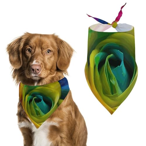 Hundehalstuch, Einheitsgröße, bedruckt, PPolyester, für Jungen und Mädchen, waschbar, geeignet für Jungen und Mädchen im Freien Hundehalstuch, Einheitsgröße, bedruckt, PPolyester, für Jungen und Mädchen, waschbar, geeignet für Jungen und Mädchen im Freien von BVKWNTSA