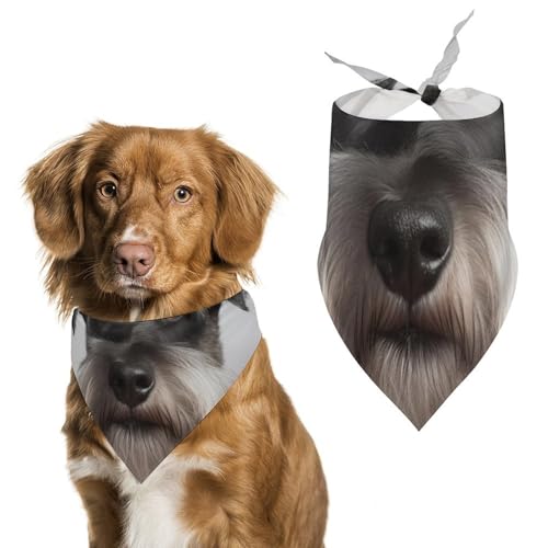 Hundehalstuch, Einheitsgröße, bedruckt, PPolyester, für Jungen und Mädchen, waschbar, geeignet für Jungen und Mädchen im Freien Hundehalstuch, Einheitsgröße, bedruckt, PPolyester, für Jungen und Mädchen, waschbar, geeignet für Jungen und Mädchen im Freien von BVKWNTSA