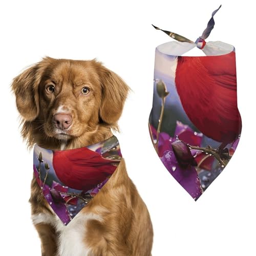 Hundehalstuch, Einheitsgröße, bedruckt, PPolyester, für Jungen und Mädchen, waschbar, geeignet für Jungen und Mädchen im Freien Hundehalstuch, Einheitsgröße, bedruckt, PPolyester, für Jungen und Mädchen, waschbar, geeignet für Jungen und Mädchen im Freien von BVKWNTSA