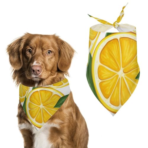 Hundehalstuch, Einheitsgröße, bedruckt, PPolyester, für Jungen und Mädchen, waschbar, geeignet für Jungen und Mädchen im Freien Hundehalstuch, Einheitsgröße, bedruckt, PPolyester, für Jungen und Mädchen, waschbar, geeignet für Jungen und Mädchen im Freien von BVKWNTSA