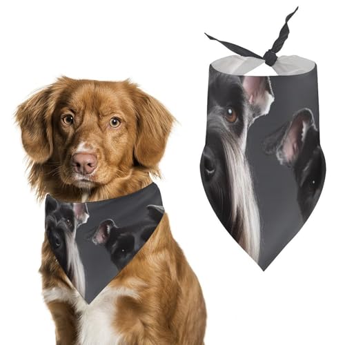 Hundehalstuch, Einheitsgröße, bedruckt, PPolyester, für Jungen und Mädchen, waschbar, geeignet für Jungen und Mädchen im Freien Hundehalstuch, Einheitsgröße, bedruckt, PPolyester, für Jungen und Mädchen, waschbar, geeignet für Jungen und Mädchen im Freien von BVKWNTSA