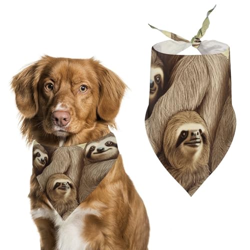 Hundehalstuch, Einheitsgröße, bedruckt, PPolyester, für Jungen und Mädchen, waschbar, geeignet für Jungen und Mädchen im Freien Hundehalstuch, Einheitsgröße, bedruckt, PPolyester, für Jungen und Mädchen, waschbar, geeignet für Jungen und Mädchen im Freien von BVKWNTSA