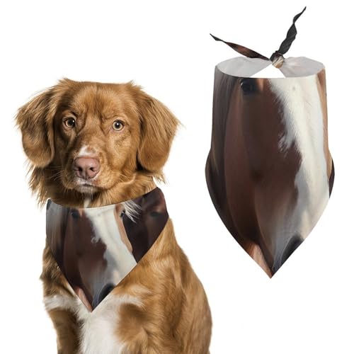Hundehalstuch, Einheitsgröße, bedruckt, PPolyester, für Jungen und Mädchen, waschbar, geeignet für Jungen und Mädchen im Freien Hundehalstuch, Einheitsgröße, bedruckt, PPolyester, für Jungen und Mädchen, waschbar, geeignet für Jungen und Mädchen im Freien von BVKWNTSA