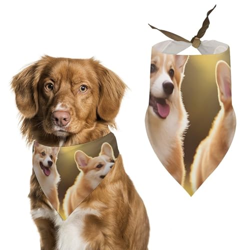 Hundehalstuch, Einheitsgröße, bedruckt, PPolyester, für Jungen und Mädchen, waschbar, geeignet für Jungen und Mädchen im Freien Hundehalstuch, Einheitsgröße, bedruckt, PPolyester, für Jungen und Mädchen, waschbar, geeignet für Jungen und Mädchen im Freien von BVKWNTSA
