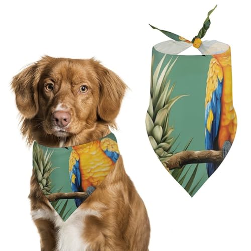 Hundehalstuch, Einheitsgröße, bedruckt, PPolyester, für Jungen und Mädchen, waschbar, geeignet für Jungen und Mädchen im Freien Hundehalstuch, Einheitsgröße, bedruckt, PPolyester, für Jungen und Mädchen, waschbar, geeignet für Jungen und Mädchen im Freien von BVKWNTSA