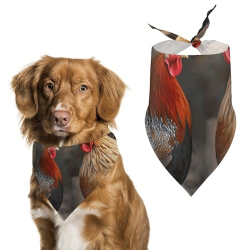 Hundehalstuch, Einheitsgröße, bedruckt, PPolyester, für Jungen und Mädchen, waschbar, geeignet für Jungen und Mädchen im Freien Hundehalstuch, Einheitsgröße, bedruckt, PPolyester, für Jungen und Mädchen, waschbar, geeignet für Jungen und Mädchen im Freien von BVKWNTSA