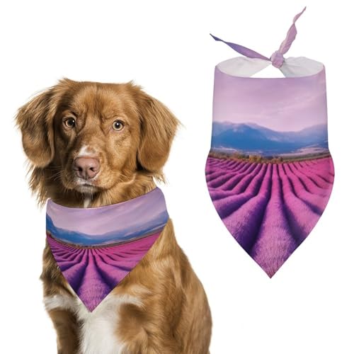 Hundehalstuch, Einheitsgröße, bedruckt, PPolyester, für Jungen und Mädchen, waschbar, geeignet für Jungen und Mädchen im Freien Hundehalstuch, Einheitsgröße, bedruckt, PPolyester, für Jungen und Mädchen, waschbar, geeignet für Jungen und Mädchen im Freien von BVKWNTSA