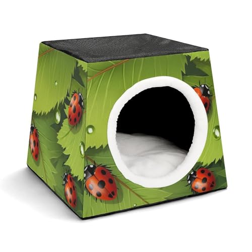 Leichte Reisebox Hundehütte Indoor & Outdoor Blätter und Marienkäfer Bedruckte Indoor Hundehütte mit waschbarem Plüschkissen Geeignet für Hunde & Katzen Leichte Reisebox Hundehütte Indoor & Outdoor Blätter und Marienkäfer Bedruckte Indoor Hundehütte mit waschbarem Plüschkissen Geeignet für Hunde & Katzen von BVKWNTSA