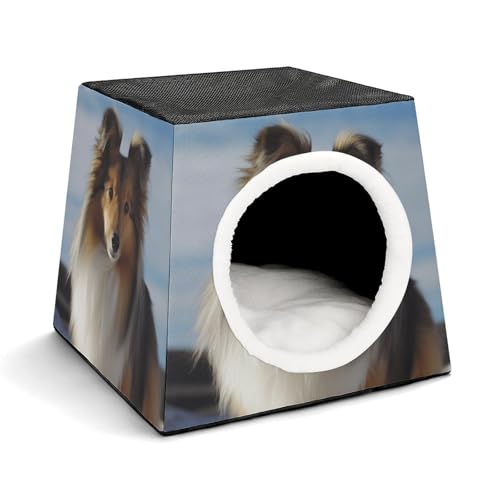 Leichte Reisebox Hundehütte Indoor & Outdoor Cute Shetland Dog Printed Indoor Dog House with Washable Plush Cushion Suitable for Dogs & Cats von BVKWNTSA