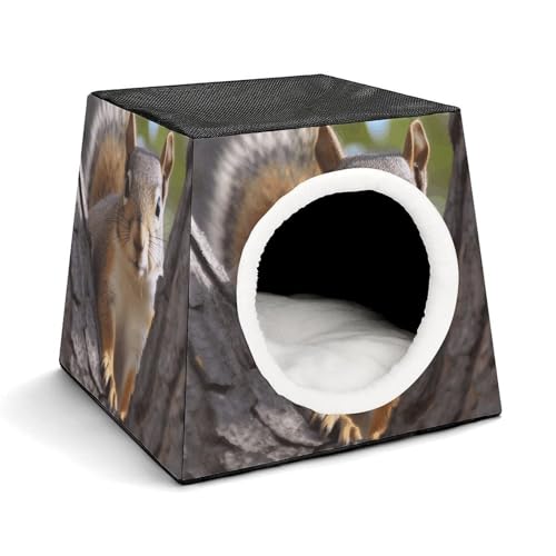 Leichte Reisebox Hundehütte Indoor & Outdoor Eichhörnchen im Baum Bedruckte Indoor Hundehütte mit waschbarem Plüschkissen Geeignet für Hunde & Katzen Leichte Reisebox Hundehütte Indoor & Outdoor Eichhörnchen im Baum Bedruckte Indoor Hundehütte mit waschbarem Plüschkissen Geeignet für Hunde & Katzen von BVKWNTSA