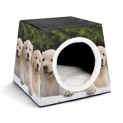 Leichte Reisebox Hundehütte Indoor & Outdoor Golden Retriever Welpen Bedruckte Indoor Hundehütte mit waschbarem Plüschkissen Geeignet für Hunde & Katzen von BVKWNTSA