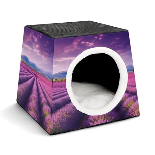 Leichte Reisebox Hundehütte Indoor & Outdoor Lavendelfelder Bedruckte Indoor Hundehütte mit waschbarem Plüschkissen, geeignet für Hunde & Katzen Leichte Reisebox Hundehütte Indoor & Outdoor Lavendelfelder Bedruckte Indoor Hundehütte mit waschbarem Plüschkissen, geeignet für Hunde & Katzen von BVKWNTSA