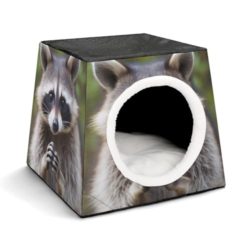 Leichte Reisebox Hundehütte Indoor & Outdoor Niedlicher Waschbär Bedruckte Indoor Hundehütte mit waschbarem Plüschkissen Geeignet für Hunde & Katzen Leichte Reisebox Hundehütte Indoor & Outdoor Niedlicher Waschbär Bedruckte Indoor Hundehütte mit waschbarem Plüschkissen Geeignet für Hunde & Katzen von BVKWNTSA