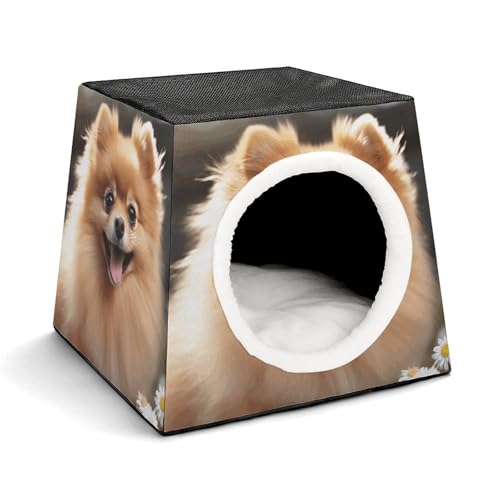 Leichte Reisebox Hundehütte Indoor & Outdoor Pomeranian Dog Printed Indoor Dog House with Washable Plush Cushion Suitable for Dogs & Cats von BVKWNTSA
