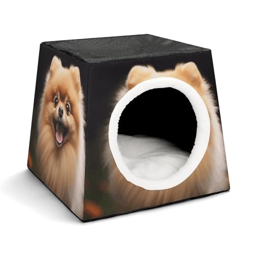 Leichte Reisebox Hundehütte Indoor & Outdoor Pomeranian Printed Indoor Dog House with Washable Plush Cushion Suitable for Dogs & Cats Leichte Reisebox Hundehütte Indoor & Outdoor Pomeranian Printed Indoor Dog House with Washable Plush Cushion Suitable for Dogs & Cats von BVKWNTSA