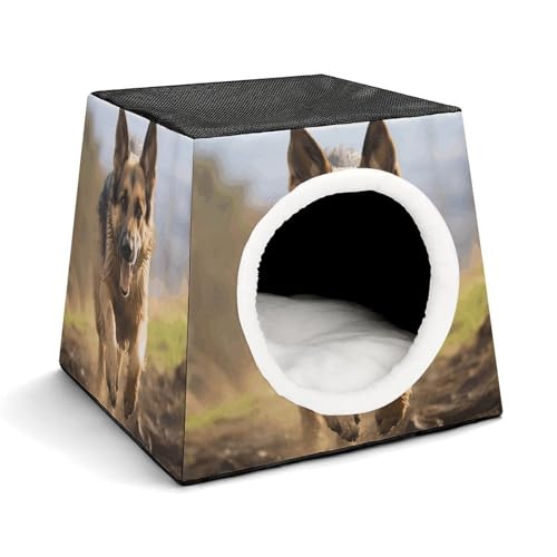 Leichte Reisebox Hundehütte Indoor & Outdoor Running Deutscher Schäferhund Bedruckte Indoor Hundehütte mit waschbarem Plüschkissen Geeignet für Hunde & Katzen Leichte Reisebox Hundehütte Indoor & Outdoor Running Deutscher Schäferhund Bedruckte Indoor Hundehütte mit waschbarem Plüschkissen Geeignet für Hunde & Katzen von BVKWNTSA