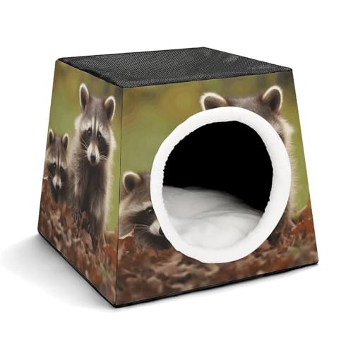 Leichte Reisebox Hundehütte Indoor & Outdoor Waschbär Bedruckte Indoor Hundehütte mit waschbarem Plüschkissen Geeignet für Hunde & Katzen Leichte Reisebox Hundehütte Indoor & Outdoor Waschbär Bedruckte Indoor Hundehütte mit waschbarem Plüschkissen Geeignet für Hunde & Katzen von BVKWNTSA