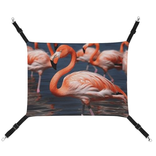 BVNMT Flamingo bedruckte Haustier-Hängematte aus Segeltuch – atmungsaktiv und faltbar für Katzen, Hunde und kleine Haustiere – ideal für Zuhause, Reisen und Haustierkrankenhaus – 42 x 33 x 20 cm BVNMT Flamingo bedruckte Haustier-Hängematte aus Segeltuch – atmungsaktiv und faltbar für Katzen, Hunde und kleine Haustiere – ideal für Zuhause, Reisen und Haustierkrankenhaus – 42 x 33 x 20 cm von BVNMT