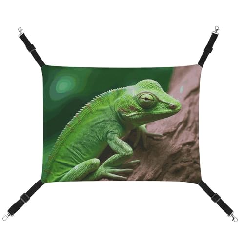 BVNMT Green Lizard Bedruckte Hängematte für Haustiere, aus Leinen, atmungsaktiv und faltbar, für Katzen, Hunde und kleine Haustiere, ideal für Zuhause, Reisen und Haustierkrankenhaus – 42 x 33 x 20 cm BVNMT Green Lizard Bedruckte Hängematte für Haustiere, aus Leinen, atmungsaktiv und faltbar, für Katzen, Hunde und kleine Haustiere, ideal für Zuhause, Reisen und Haustierkrankenhaus – 42 x 33 x 20 cm von BVNMT