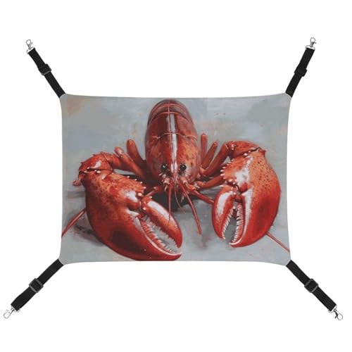 BVNMT Haustierhängematte aus Segeltuch mit Hummer-Motiv, atmungsaktiv und faltbar, für Katzen, Hunde und kleine Haustiere, ideal für Zuhause, Reisen und Haustierkrankenhaus – 42 x 33 x 20 cm von BVNMT