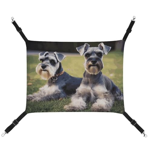 BVNMT Haustierhängematte für Erwachsene, Schnauzer-Hunde, bedruckt, Leinen, atmungsaktiv und faltbar, für Katzen, Hunde und kleine Haustiere, ideal für Zuhause, Reisen und Haustierkrankenhaus – 42 x von BVNMT