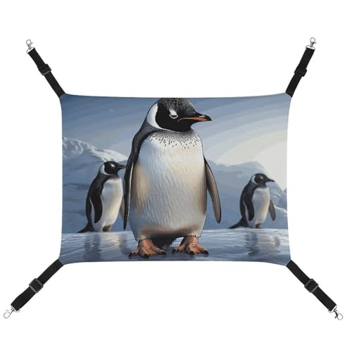 BVNMT Haustierhängematte mit Pinguin-Druck, atmungsaktiv, faltbar, für Katzen, Hunde und kleine Haustiere, ideal für Zuhause, Reisen und Haustierkrankenhaus – 42 x 33 x 20 cm BVNMT Haustierhängematte mit Pinguin-Druck, atmungsaktiv, faltbar, für Katzen, Hunde und kleine Haustiere, ideal für Zuhause, Reisen und Haustierkrankenhaus – 42 x 33 x 20 cm von BVNMT