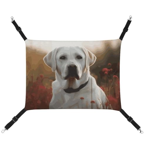BVNMT Haustierhängematte mit weißem Labrador-Druck, atmungsaktiv, faltbar, für Katzen, Hunde und kleine Haustiere, ideal für Zuhause, Reisen und Haustierkrankenhaus – 42 x 33 x 20 cm BVNMT Haustierhängematte mit weißem Labrador-Druck, atmungsaktiv, faltbar, für Katzen, Hunde und kleine Haustiere, ideal für Zuhause, Reisen und Haustierkrankenhaus – 42 x 33 x 20 cm von BVNMT