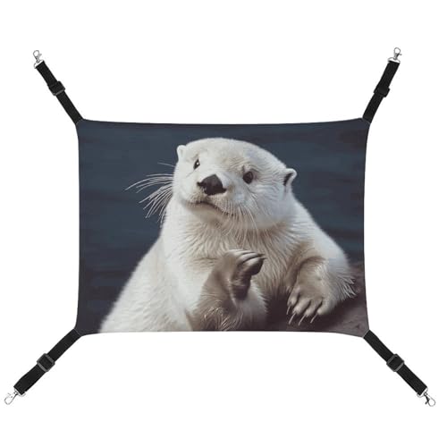 BVNMT Haustierhängematte mit weißem Otter, bedrucktes Segeltuch, atmungsaktiv und faltbar, für Katzen, Hunde und kleine Haustiere, ideal für Zuhause, Reisen und Haustierkrankenhaus – 42 x 33 x 20 cm von BVNMT