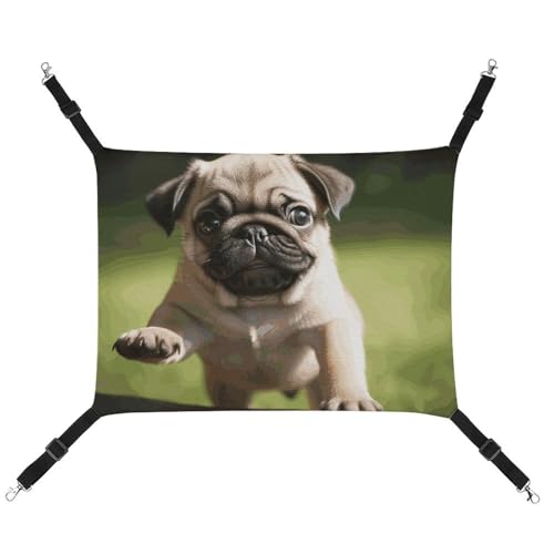 BVNMT Mops Welpen Bedruckte Leinwand Haustier Hängematte - Atmungsaktiv & Faltbar für Katzen, Hunde & Kleine Haustiere - Ideal für Zuhause, Reisen & Haustierkrankenhaus - 42 x 33 x 20 cm BVNMT Mops Welpen Bedruckte Leinwand Haustier Hängematte - Atmungsaktiv & Faltbar für Katzen, Hunde & Kleine Haustiere - Ideal für Zuhause, Reisen & Haustierkrankenhaus - 42 x 33 x 20 cm von BVNMT