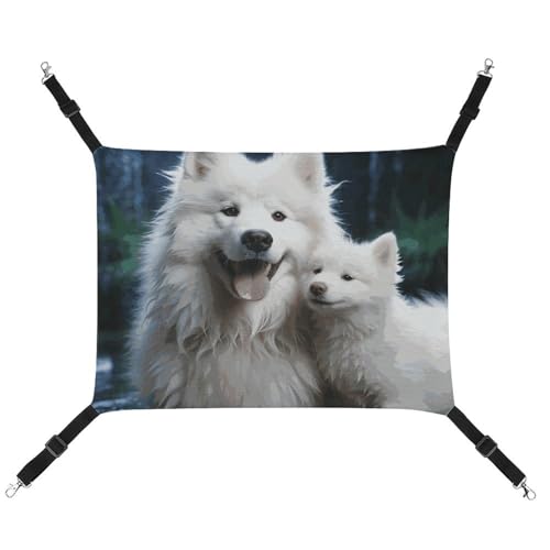 BVNMT Weiße Hunde-Hängematte aus bedrucktem Segeltuch, atmungsaktiv und faltbar, für Katzen, Hunde und kleine Haustiere, ideal für Zuhause, Reisen und Haustierkrankenhaus – 42 x 33 x 20 cm BVNMT Weiße Hunde-Hängematte aus bedrucktem Segeltuch, atmungsaktiv und faltbar, für Katzen, Hunde und kleine Haustiere, ideal für Zuhause, Reisen und Haustierkrankenhaus – 42 x 33 x 20 cm von BVNMT