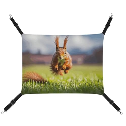 Country Brown Eichhörnchen bedruckte Leinen-Haustier-Hängematte – atmungsaktiv und faltbar für Katzen, Hunde und kleine Haustiere – ideal für Zuhause, Reisen und Haustierkrankenhaus – 42 x 33 x 20 cm Country Brown Eichhörnchen bedruckte Leinen-Haustier-Hängematte – atmungsaktiv und faltbar für Katzen, Hunde und kleine Haustiere – ideal für Zuhause, Reisen und Haustierkrankenhaus – 42 x 33 x 20 cm von BVNMT