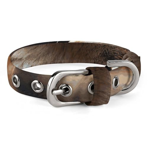 Verstellbares Hundehalsband, Eichhörnchen im Wald, Haustierhalsband für kleine, mittelgroße Hunde und Katzen Verstellbares Hundehalsband, Eichhörnchen im Wald, Haustierhalsband für kleine, mittelgroße Hunde und Katzen von BVNMT