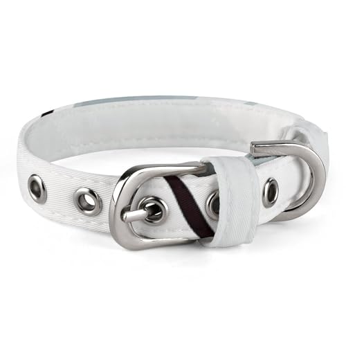 Verstellbares Hundehalsband, Eisbär, Haustierhalsband für kleine, mittelgroße Hunde, Katzen von BVNMT