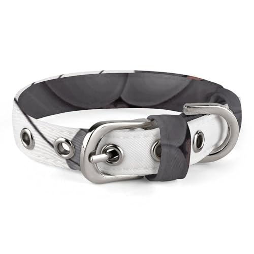 Verstellbares Hundehalsband, Grau, Ratten, Haustierhalsband für kleine, mittelgroße Hunde und Katzen Verstellbares Hundehalsband, Grau, Ratten, Haustierhalsband für kleine, mittelgroße Hunde und Katzen von BVNMT