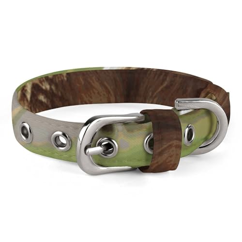 Verstellbares Hundehalsband, Hi-Bär, sitzt auf dem Rasen, Haustierhalsband für kleine, mittelgroße Hunde und Katzen von BVNMT