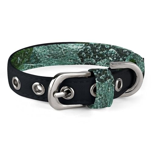 Verstellbares Hundehalsband, Mojito, Cocktail, Haustierhalsband für kleine, mittelgroße Hunde und Katzen Verstellbares Hundehalsband, Mojito, Cocktail, Haustierhalsband für kleine, mittelgroße Hunde und Katzen von BVNMT