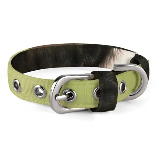 Verstellbares Hundehalsband, Mops, Welpen, Haustierhalsband für kleine, mittelgroße Hunde und Katzen Verstellbares Hundehalsband, Mops, Welpen, Haustierhalsband für kleine, mittelgroße Hunde und Katzen von BVNMT